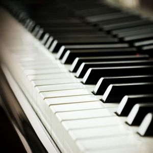 欧美穿环穿孔HD
