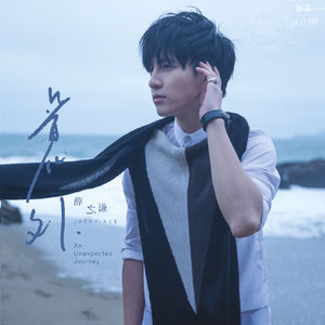 欧美穿环穿孔HD
