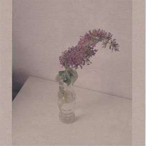 欧美穿环穿孔HD
