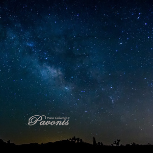 欧美穿环穿孔HD
