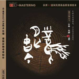 欧美穿环穿孔HD
